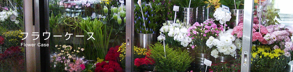 フラワーケース